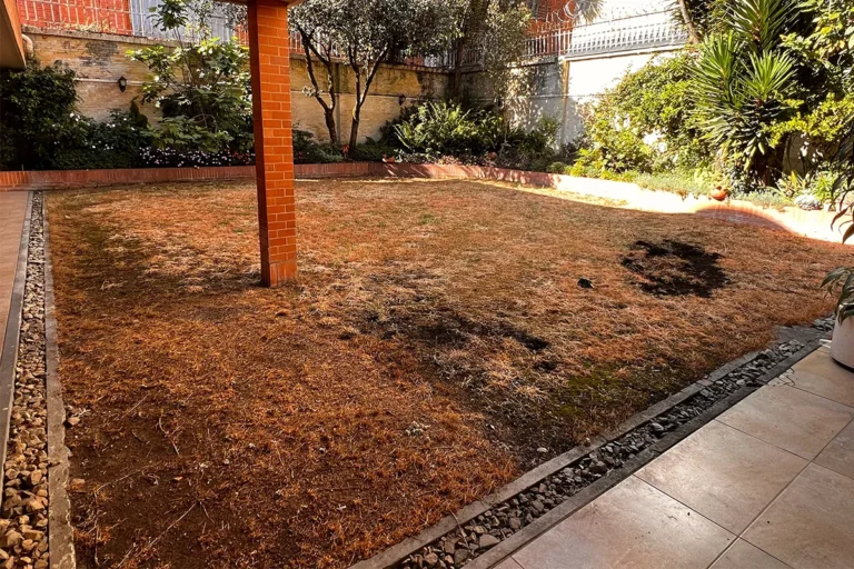 Mantenimiento de zonas verdes con empradización y siembra de pasto