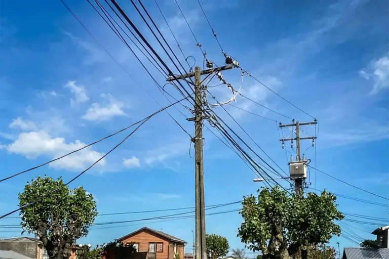 Poda y tala preventiva de árboles en riesgo de caída