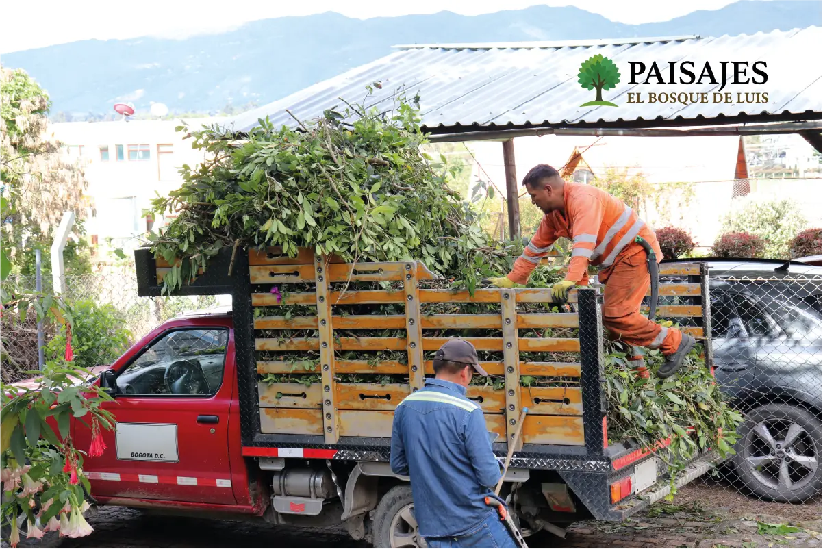 Diseño de jardines con paisajismo profesional y fuentes ornamentales