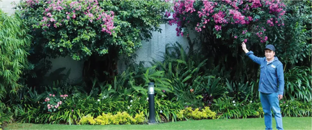 Mantenimiento de jardines con poda de césped y cuidado de flores